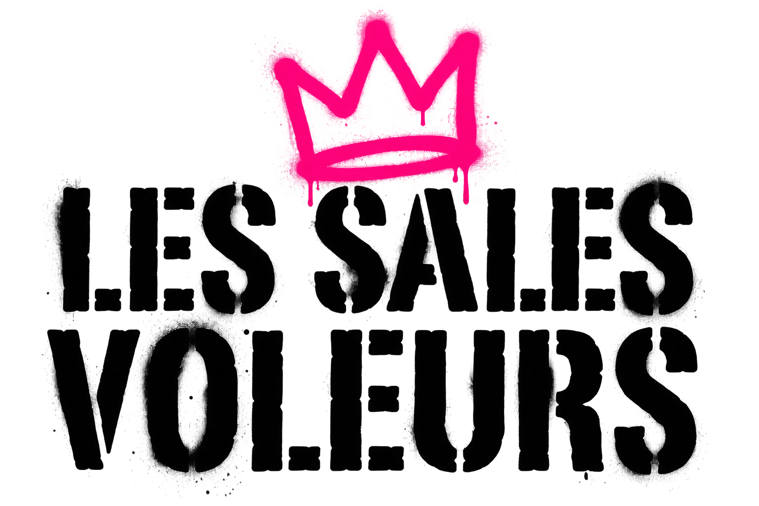 Les Sales Voleurs